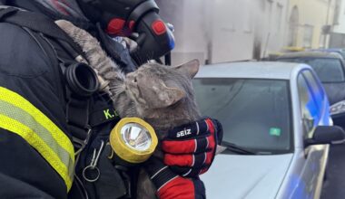 Feuerwehr rettet Katze aus brennendem Haus ➤ Hessen am Morgen: Die Nachrichten im Ticker