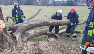 Trauriger Feuerwehr-Einsatz in Nürnberg-Moorenbrunn: Der Kletterbaum ist Geschichte
