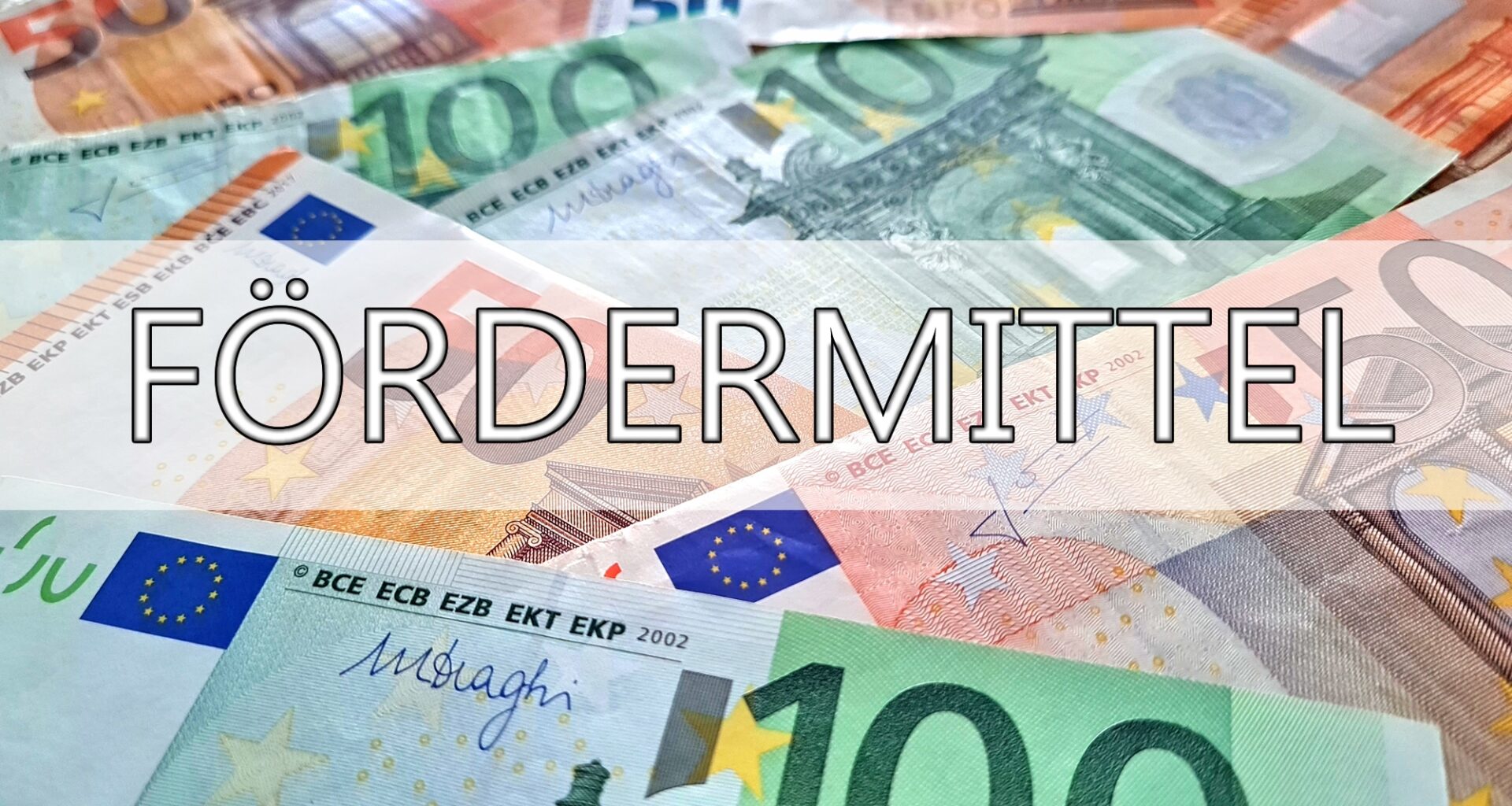 Förderbescheide für Glasfaserausbau auf der Ziegelwiese und in Halle-Ost