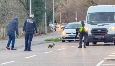 Kleiner Hund löst Polizeieinsatz und Straßensperrung aus