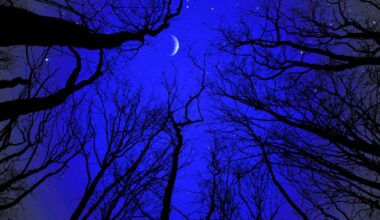 Scheibenkratzen oder Stube ausräuchern – Die Raunächte bringen Frost und klaren Himmel