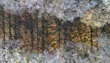 So winterlich wird Silvester in Berlin und Brandenburg