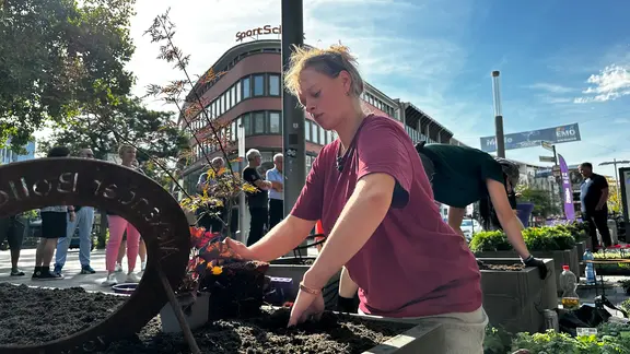 Eine Friedhofsgärtnerin arbeitet bei Meisterschaft an einem Grab in der Innenstadt in Hannover.