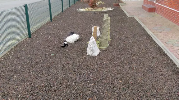 In einem Schottergarten stehen Steinskulpturen.