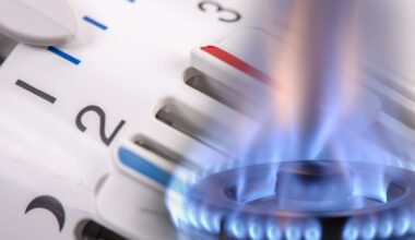 Gasflamme und Heizungsknopf