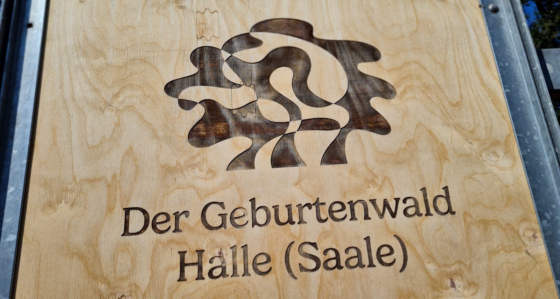 Geburtenwald Halle wächst auf 8.000 neue Bäume an