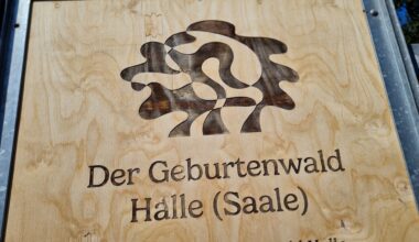 Geburtenwald Halle wächst auf 8.000 neue Bäume an