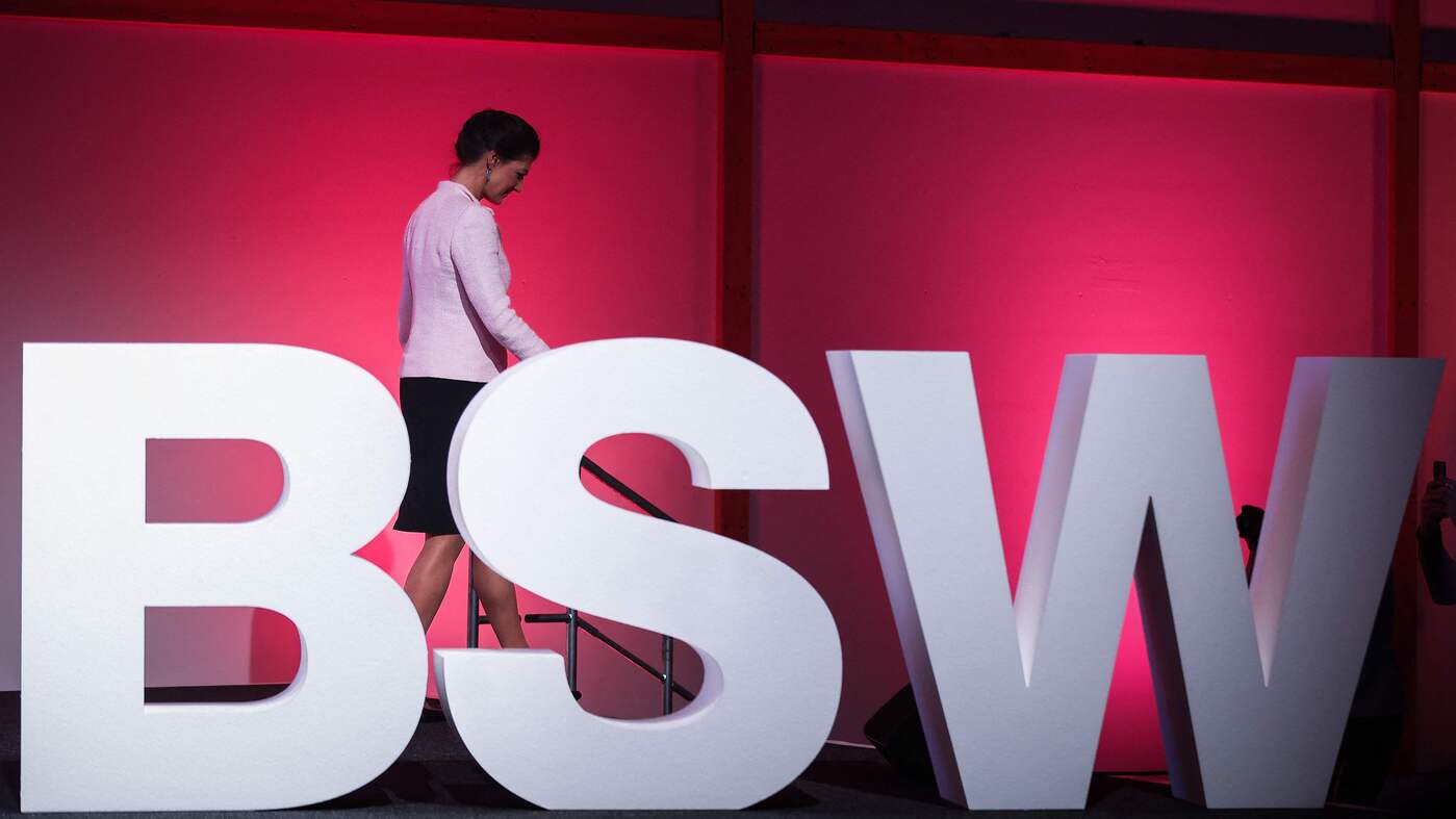 Fabio De Masi und Amira Mohamed Ali zu Vorsitzenden gewählt