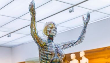 Dresden: Ausstellungshit "gläserne Frau" kehrt ins Hygiene-Museum zurück