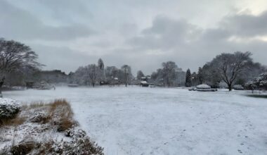 Weiße Weihnachten? Es sieht gut aus!
