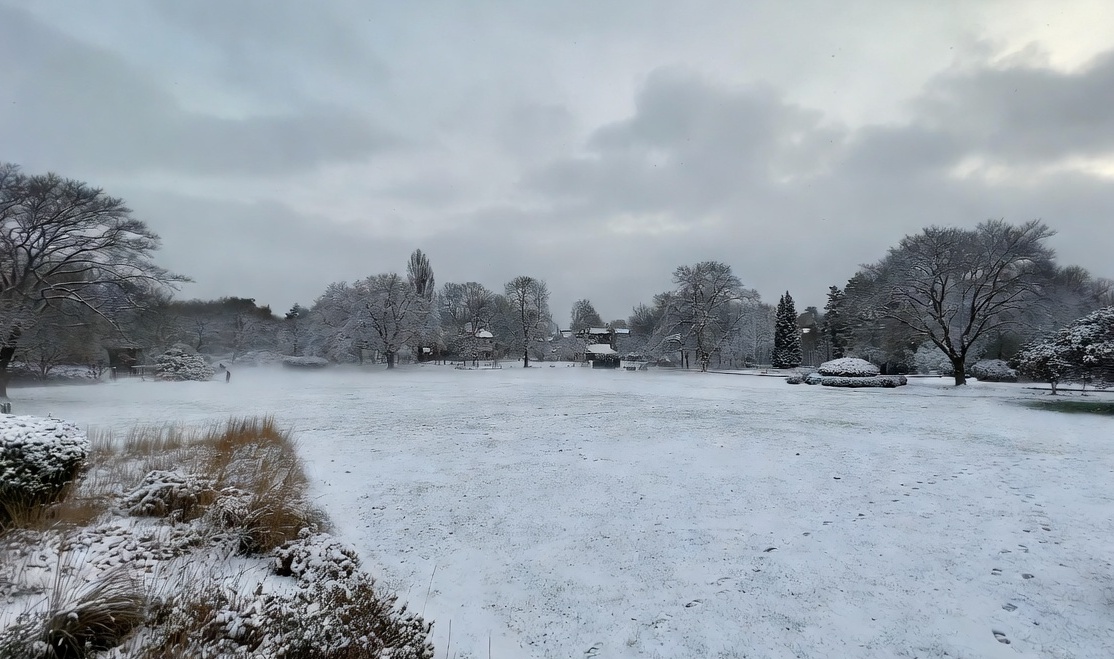 Weiße Weihnachten? Es sieht gut aus!