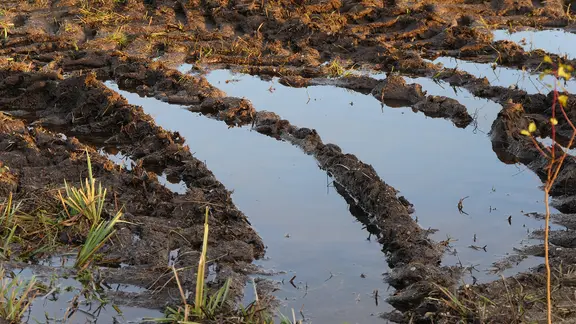 Tiefe Traktorspuren auf dem Feld, in denen sich Wasser ansammelt