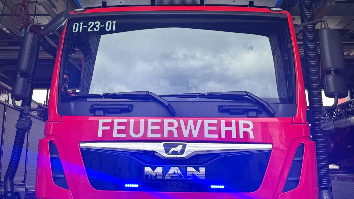 Mehrere Container in Brand - Schwieriger Löscheinsatz