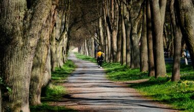 Fotogruppe „momentART“ aus Münster erkundet Wege als Metapher für Lebensreisen