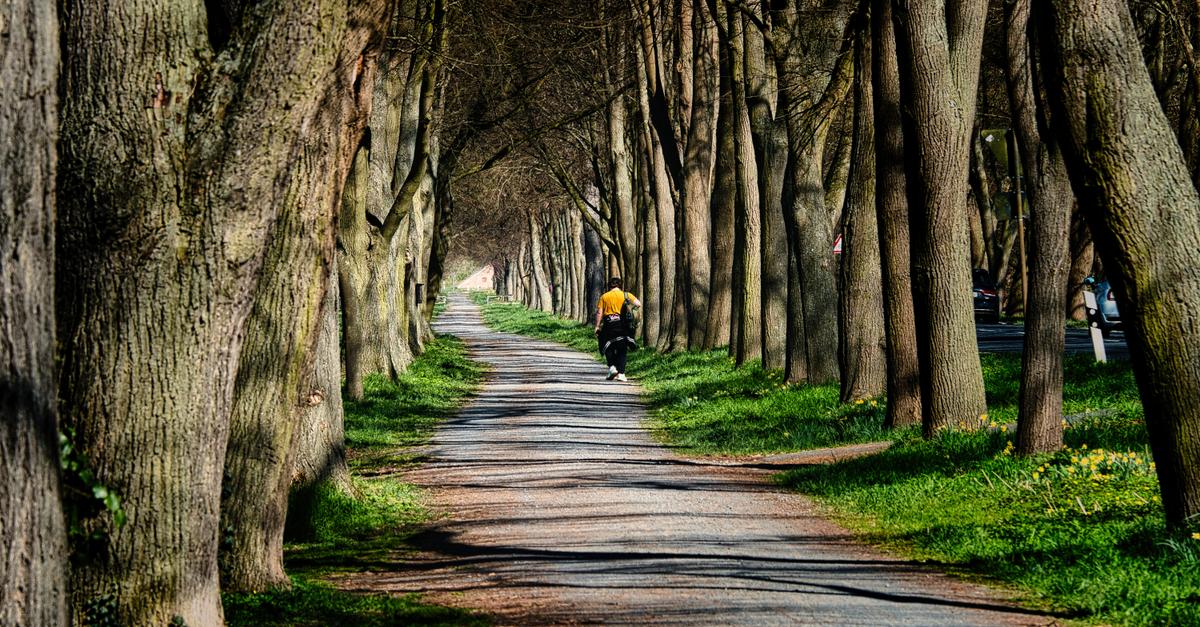 Fotogruppe „momentART“ aus Münster erkundet Wege als Metapher für Lebensreisen