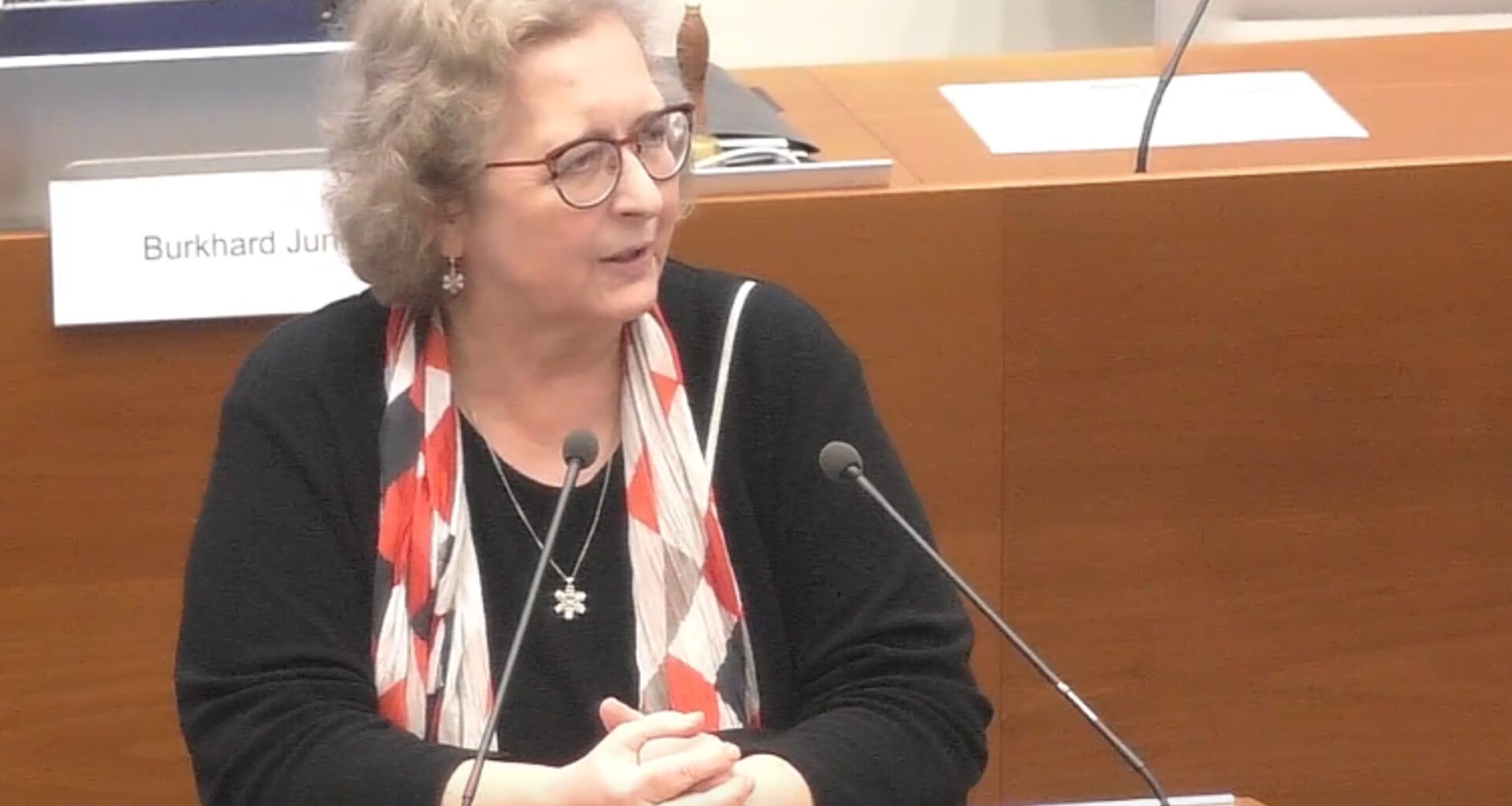 Ein CDU-Antrag verhindert, dass die LWB 10,5 Millionen Euro ins Stadtsäckel zahlen muss + Video · Leipziger Zeitung