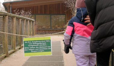Vogelgrippe erreicht den Augsburger Zoo – das sind die Auswirkungen