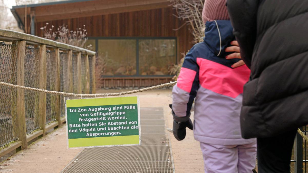 Vogelgrippe erreicht den Augsburger Zoo – das sind die Auswirkungen