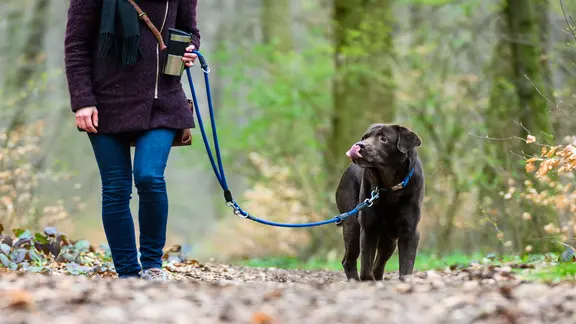 Eine Frau geht mit ihrem Hund spazieren. | picture alliance/dpa, Christophe Gateau Eine Frau geht mit ihrem Hund spazieren.