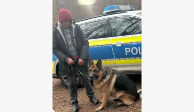 Braunschweig: Vermisster Hund wieder mit Frauchen vereint