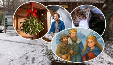 Endlich Wochenende! Das könnt Ihr neben dem Besuch auf dem Weihnachtsmarkt heute erleben