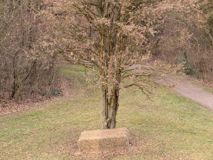 Google Pixel 10 Pro Fold - Originalaufnahmen