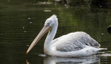 Nach tödlichem Virus-Alarm im Zoo Leipzig: Besucher reagieren kritisch