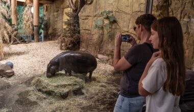 Zoo Duisburg ergreift Maßnahme - das hat Folgen für die Besucher