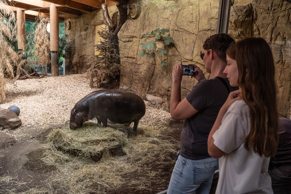 Zoo Duisburg ergreift Maßnahme - das hat Folgen für die Besucher