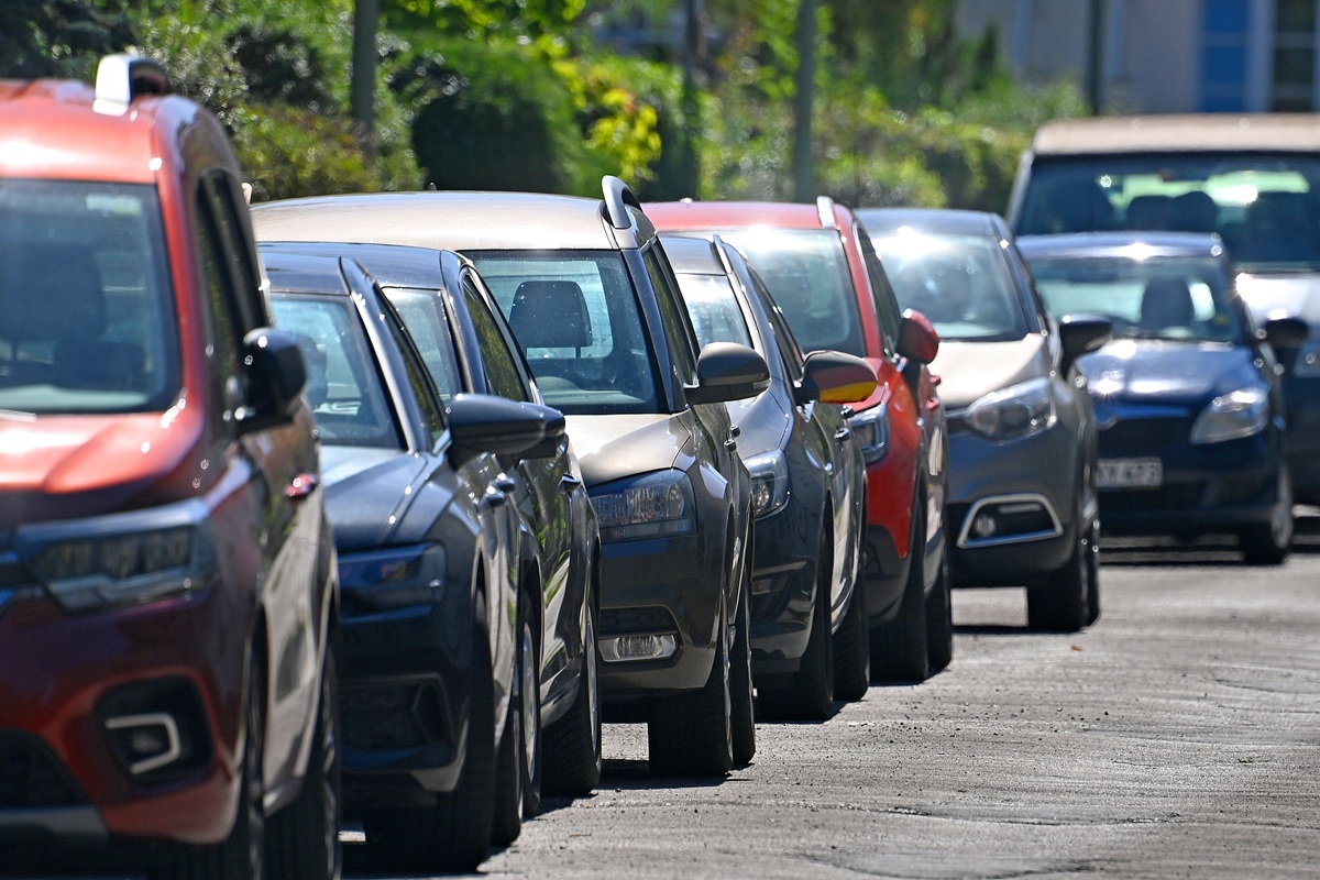 Duisburgerin hört Geräusch aus Auto – was sie findet, ist herzzerreißend