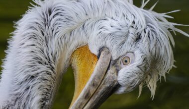 Virus-Alarm im Zoo Leipzig! Die Konsequenzen kosten Leben