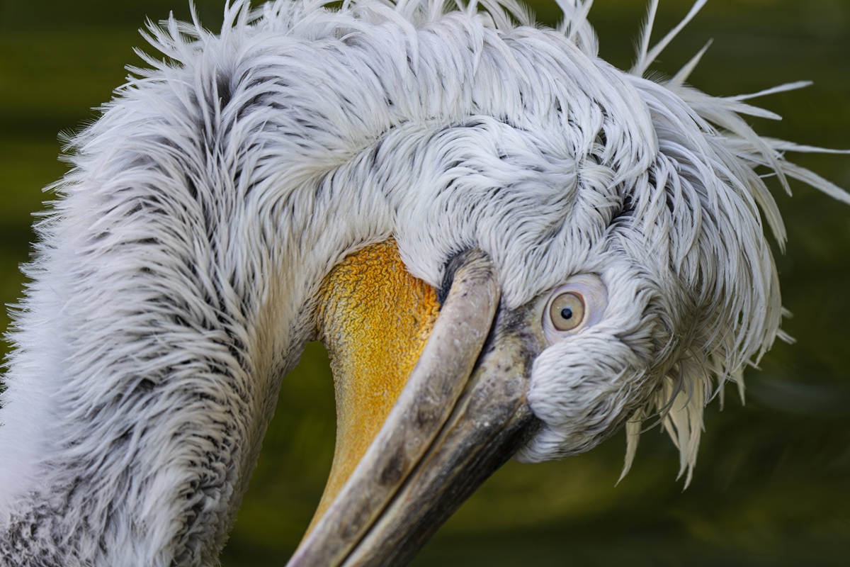 Virus-Alarm im Zoo Leipzig! Die Konsequenzen kosten Leben
