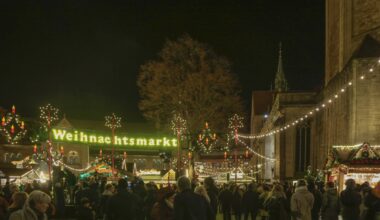 Mild-Dezember führt in Braunschweig zu Überraschung! "Fast dreimal so viel"