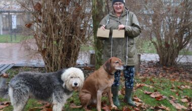 über 500 Kilometer langer Flug