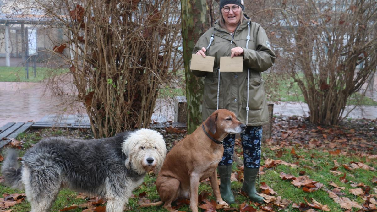 über 500 Kilometer langer Flug