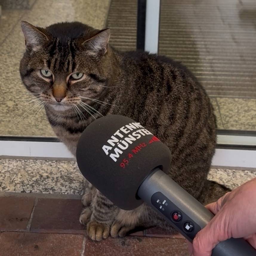 Oskar darf bleiben - Antenne Münster