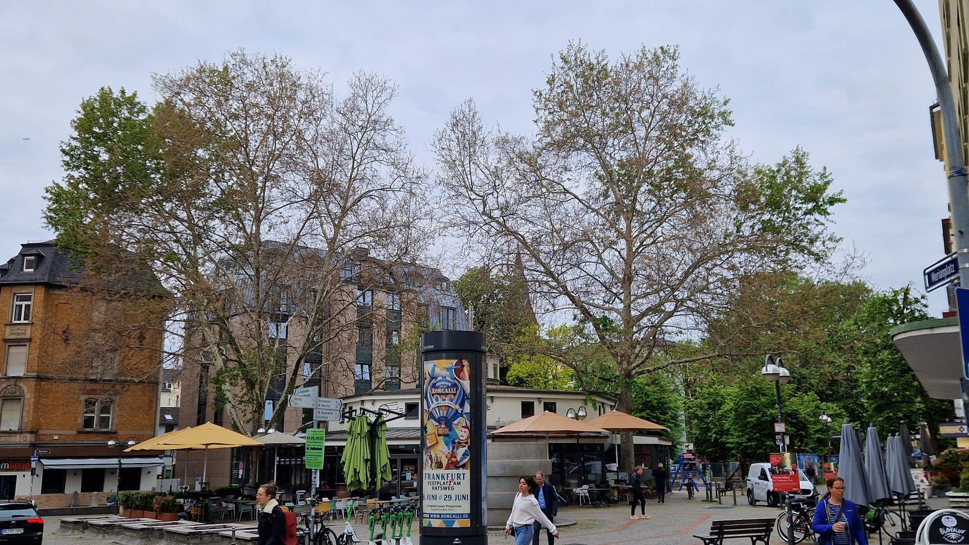 In den Sommermonaten spendeten die beiden Platanen auf dem Frankfurter Merinanplatz Schatten (Archivbild). Ein Unbekannter hatte die Bäume vergiftet.