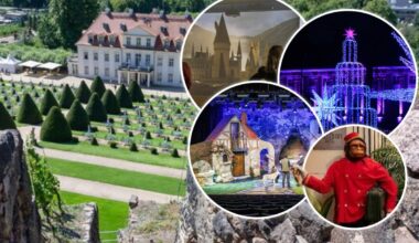 Noch nichts vor? So wird der 2. Weihnachtstag richtig gut