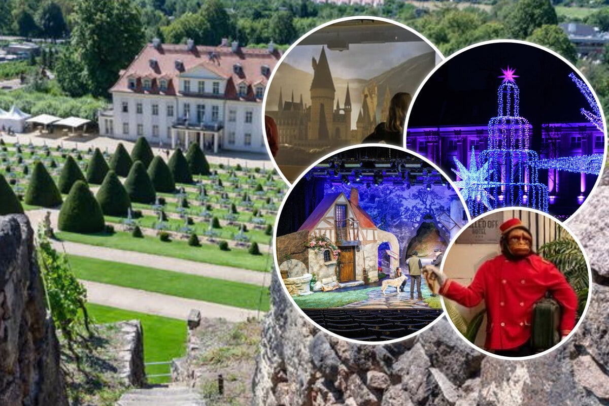 Noch nichts vor? So wird der 2. Weihnachtstag richtig gut