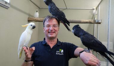 Neue Katta-Insel für Karlsruher Zoo