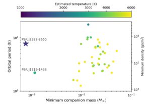 Pulsar-Begleiter im Vergleich