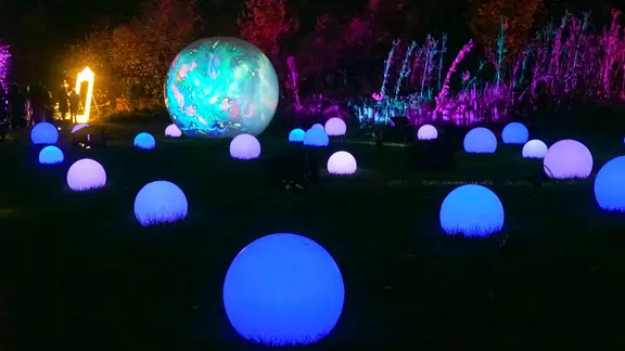 Leuchtende Kugeln liegen in einem Park bei Nacht.