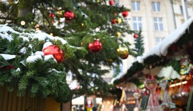 Weihnachtsbäume in Leipzig zu verschenken