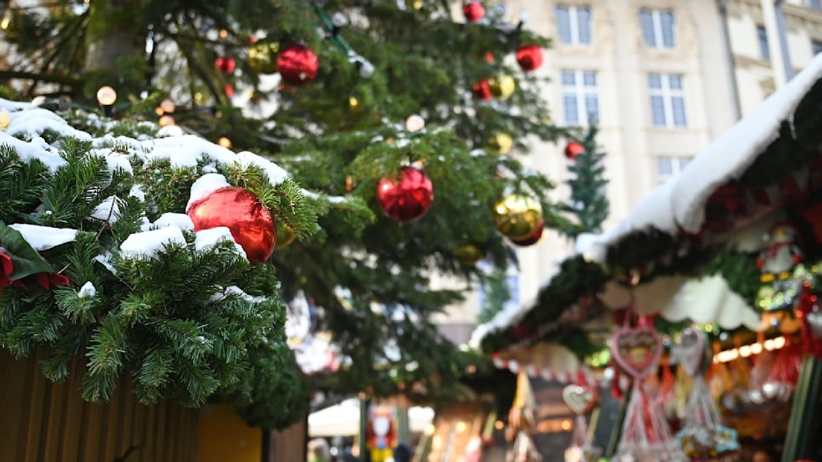 Weihnachtsbäume in Leipzig zu verschenken