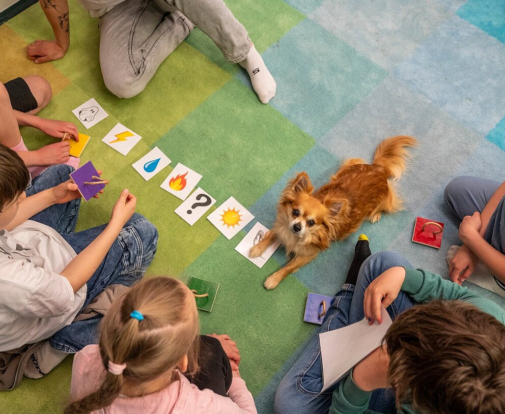 Therapiehund Capper hilft Kindern in Karlsruhe-Grötzingen beim Lese-Training