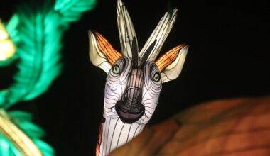 Magische Lichterwelten eröffnen im Bergzoo Halle mit Fantasie-Motto