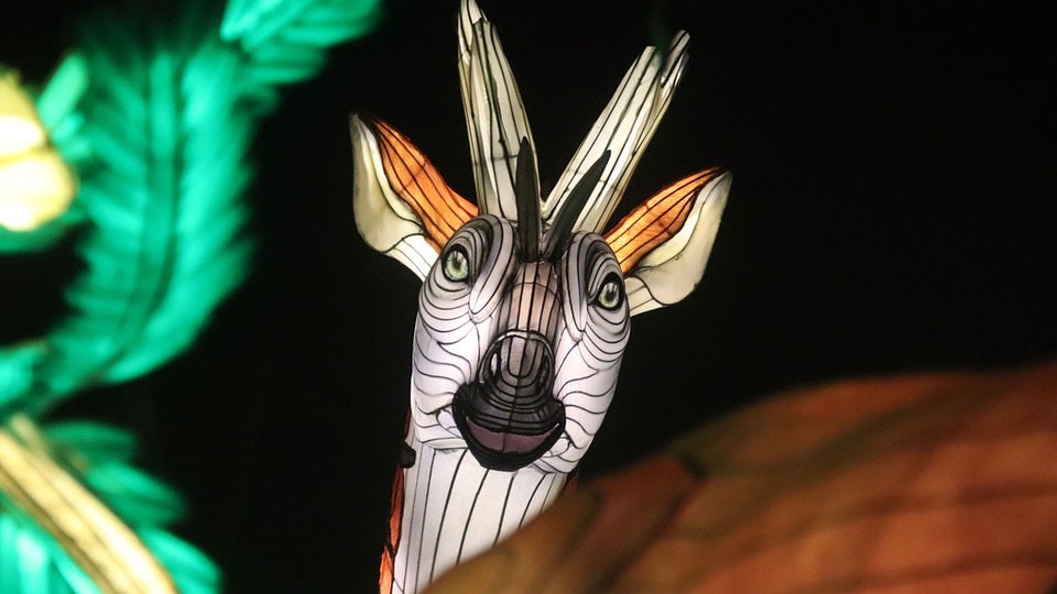 Magische Lichterwelten eröffnen im Bergzoo Halle mit Fantasie-Motto