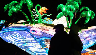 Magische Lichterwelten beginnen im Bergzoo Halle