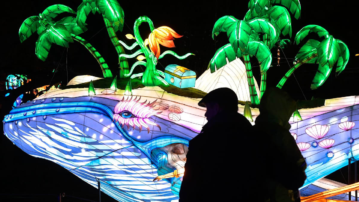 Magische Lichterwelten beginnen im Bergzoo Halle