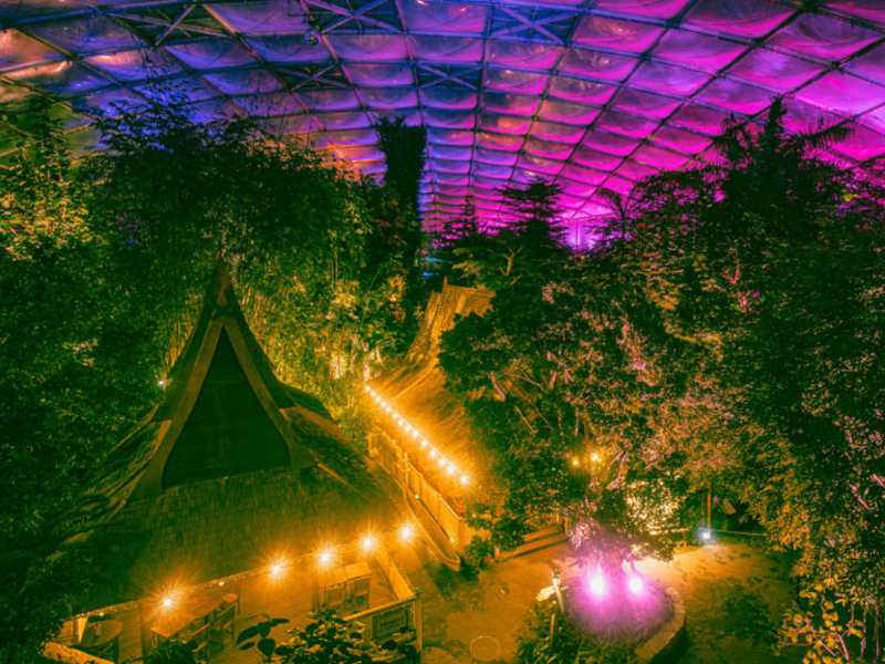 Vorverkauf für das Magische Tropenleuchten 2026 im Zoo Leipzig ist gestartet